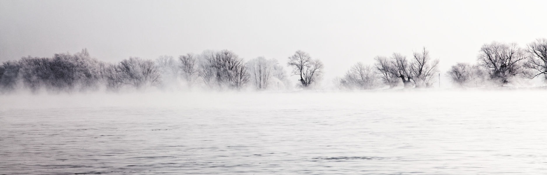 Opaque 0427, Deutschland, 1995