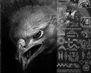  Mondsprung 1 © Frauke Stärk