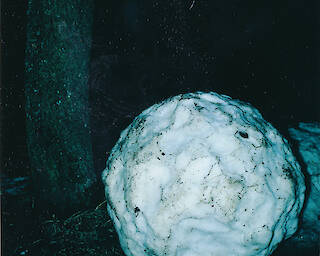  1983 © Manfred Willmann