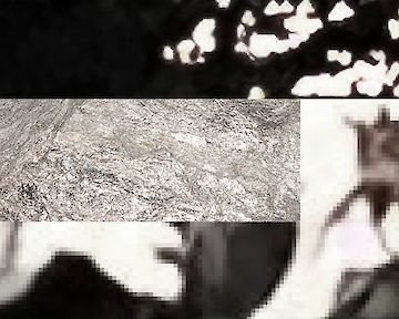  Night Pieces © Annette Wesseling, Karsten Rohrbeck