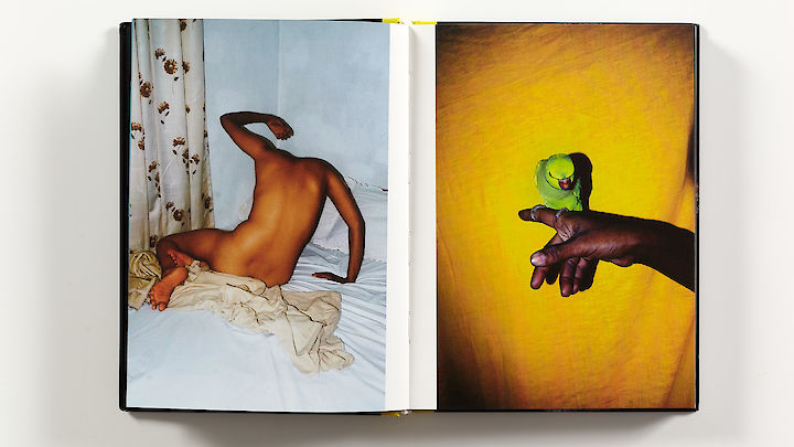  Sohrab Hura: The Coast 