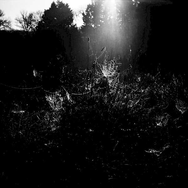 Life is what you make it - celebrate it