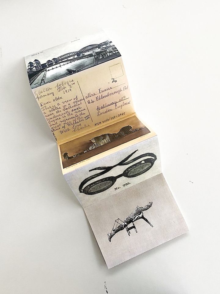  Paradiesvogel, Publikation Ronin Porat 