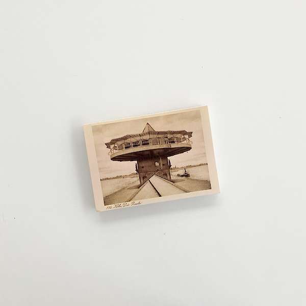 Paradiesvogel, Publikation Ronin Porat