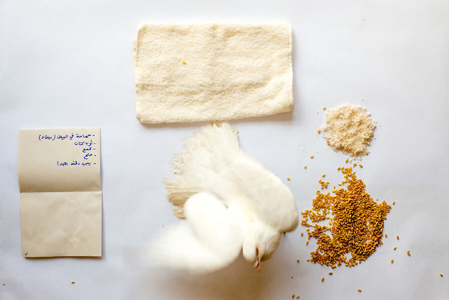 Flatlay from above. You can see a live pigeon, spices, a written note and a piece of cloth.