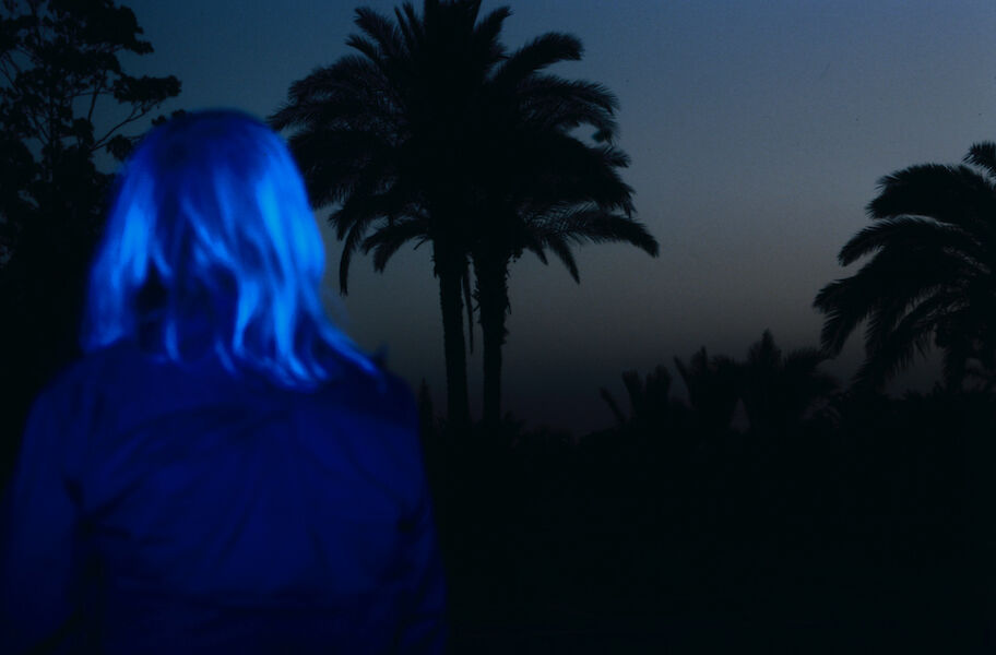 Night shot. In the background palm trees in the foreground a person illuminated in blue from behind.
