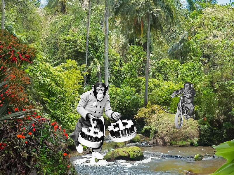 Blick auf einen Fluss im Urwald. Ein Affe in Menschenkleidung trägt zwei Kränze Bier, wein anderer kommt auf einem Motorrad durchs Gebüsch. Beide Chimapnsen sind aus anderen Fotos hinein collagiert. Sie sind schwarz-weiß.