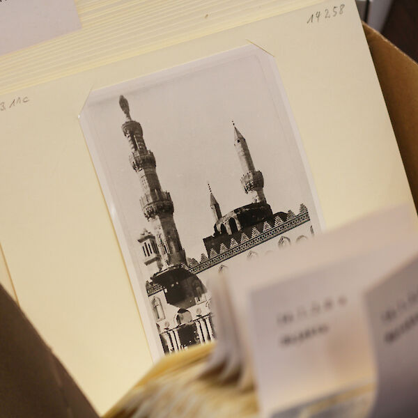 Detailaufnahme einer Schublade, in der man ein archiviertes Foto einer Mosche sieht.