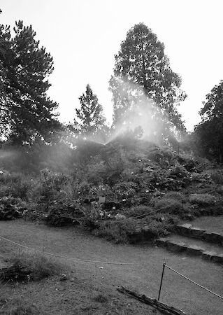  Landscape of Labels, 2023 Stefanie Pluta