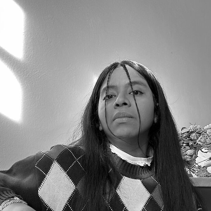 G. Kühnhardt Alvarez G. Kühnhardt Alvarez Eva Scholl