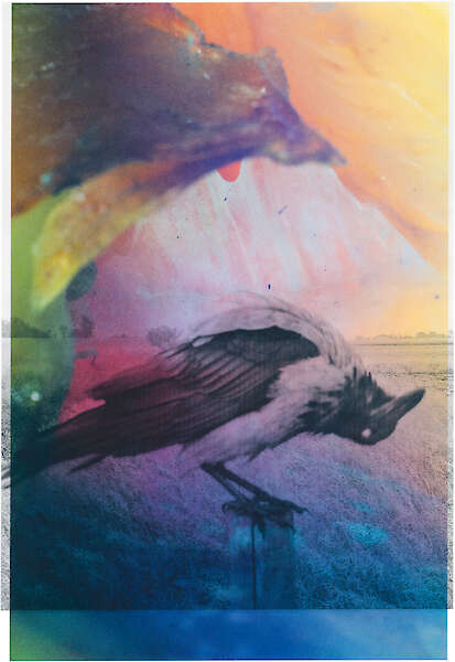 From A Magnificient Failure by Stephen Gill (Nobody Books 2024)