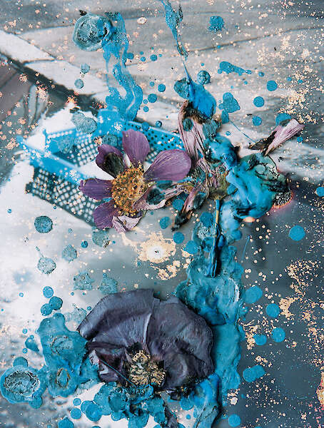 From Hackney Flowers by Stephen Gill  (Nobody Books 2007)