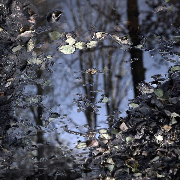 aus der Serie: Wasserspiele Studie, Fine Art Print, Hahnemühle Archival Photo Rag, 2025