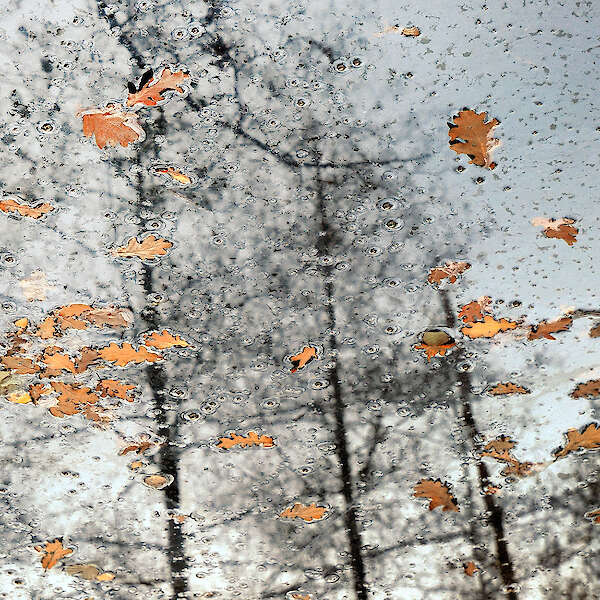 aus der Serie: Wasserspiele Studie, Fine Art Print, Hahnemühle Archival Photo Rag, 2025