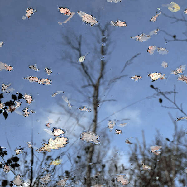 aus der Serie: Wasserspiele Studie, Fine Art Print, Hahnemühle Archival Photo Rag, 2025