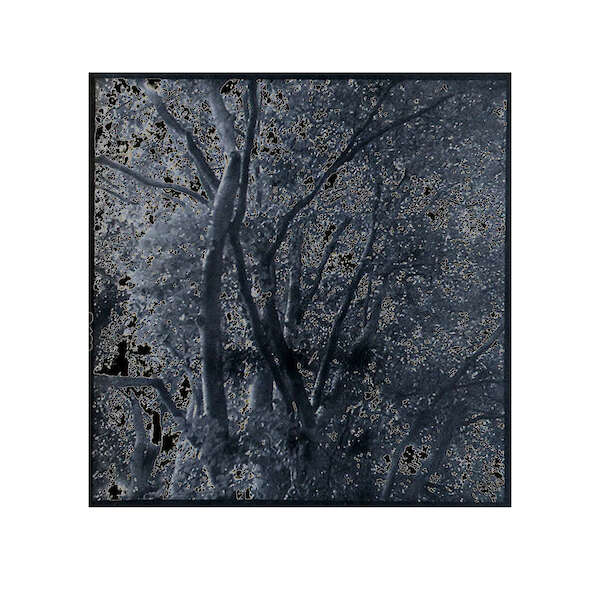 Gartendämmerung, 2024, negativ 4x4, af seit 1995 überlagertem Rollfim 127