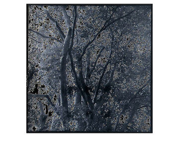  "Gartendämmerung", 2024, negativ 4x4, af seit 1995 überlagertem Rollfim 127 © Jürgen Königs