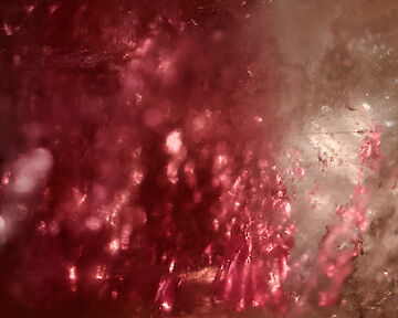   © Sabine von den Steinen