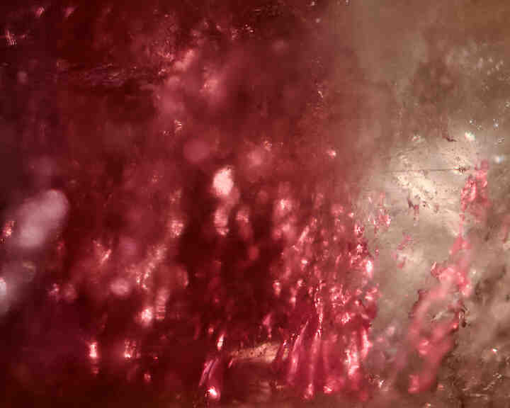   © Sabine von den Steinen