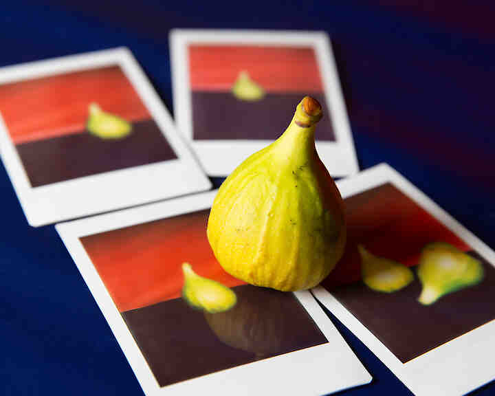 Entdeckung auf dem Weg nach Hause. Inszenierung einer Feige. 2024, © Evi Blink "Entdeckung auf dem Weg nach Hause. Inszenierung einer Feige", 2024, © Evi Blink