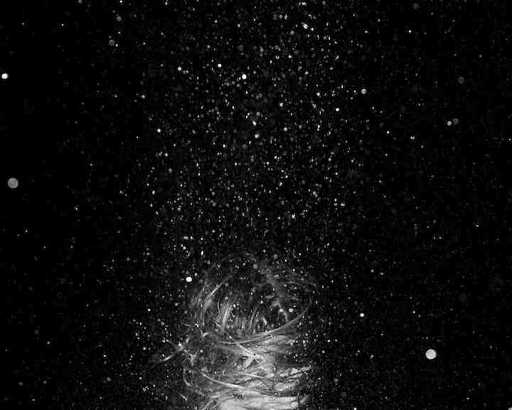 Aus der Serie "Nocturne"©Alwin Maigler  ©Alwin Maigler