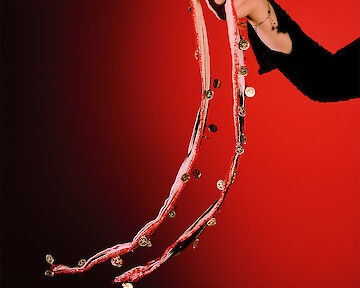 Paulina Akbay, Salla!, 2025  