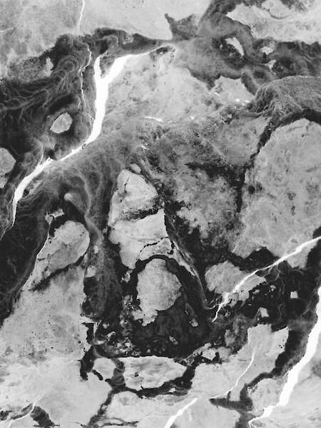 Crinoiden, solar- 20 Min