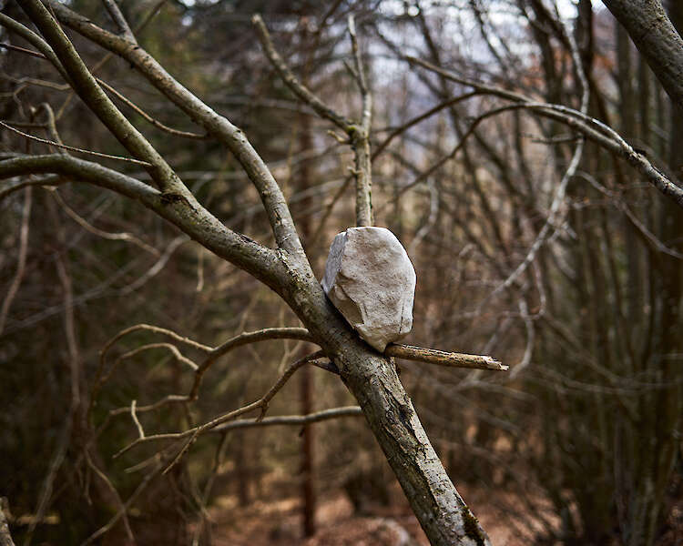 aus der Serie „Echo“