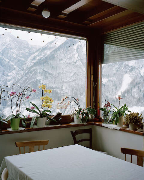 aus der Serie „The Spectators“