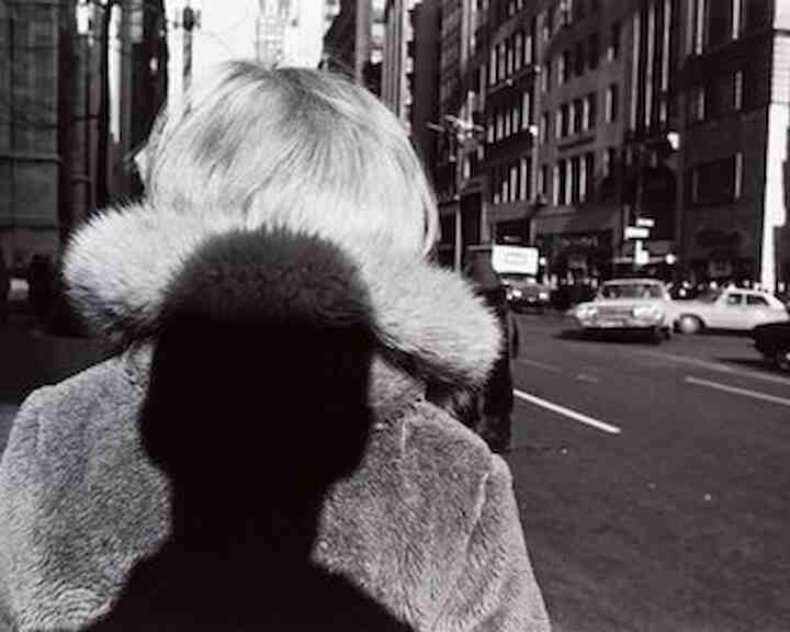   Lee Friedlander
