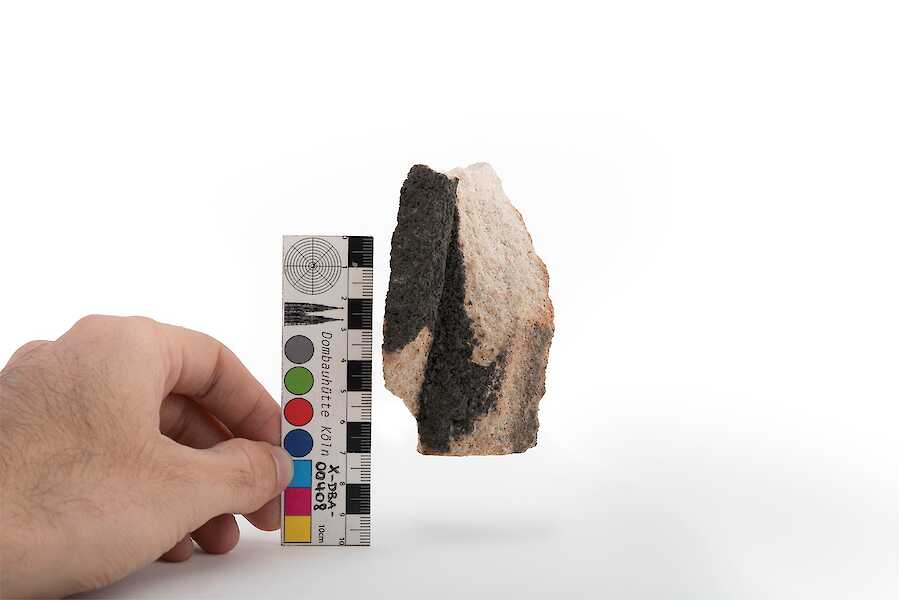 X-DBA-00408 #1, 2024