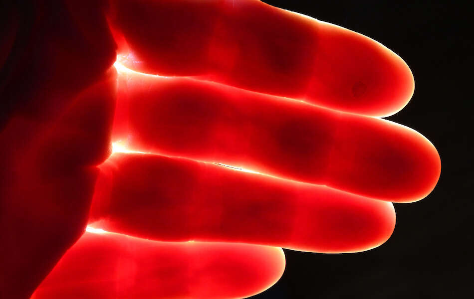 Pauline Hafsia M’barek, Blende, 2025