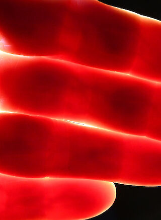 Pauline Hafsia M’barek, Blende, 2025